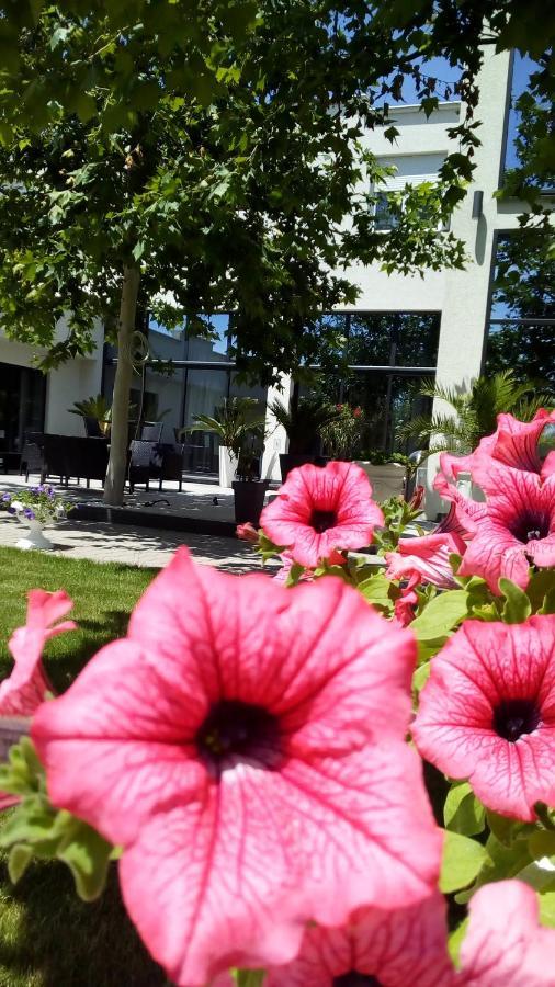 Mesecev Konak Bed and Breakfast Ni Exterior foto